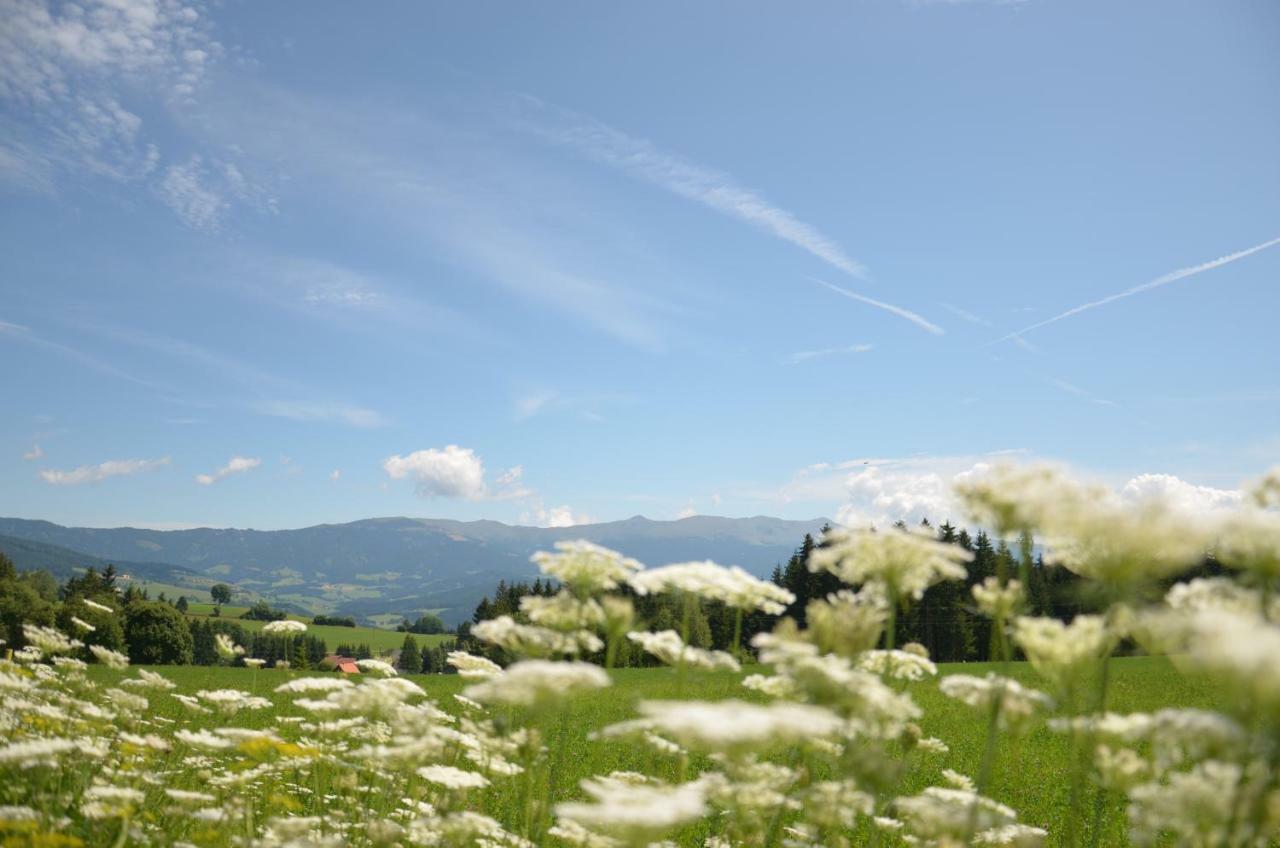 Erholung Am Bauernhof Bei Familie Seidl / Messner Villa Zeutschach Exterior photo